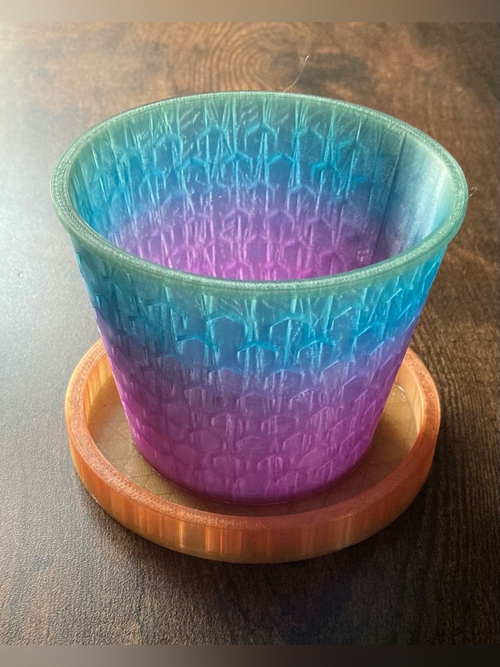 Silk Rainbow Dragon-Scale Succulent Pot
